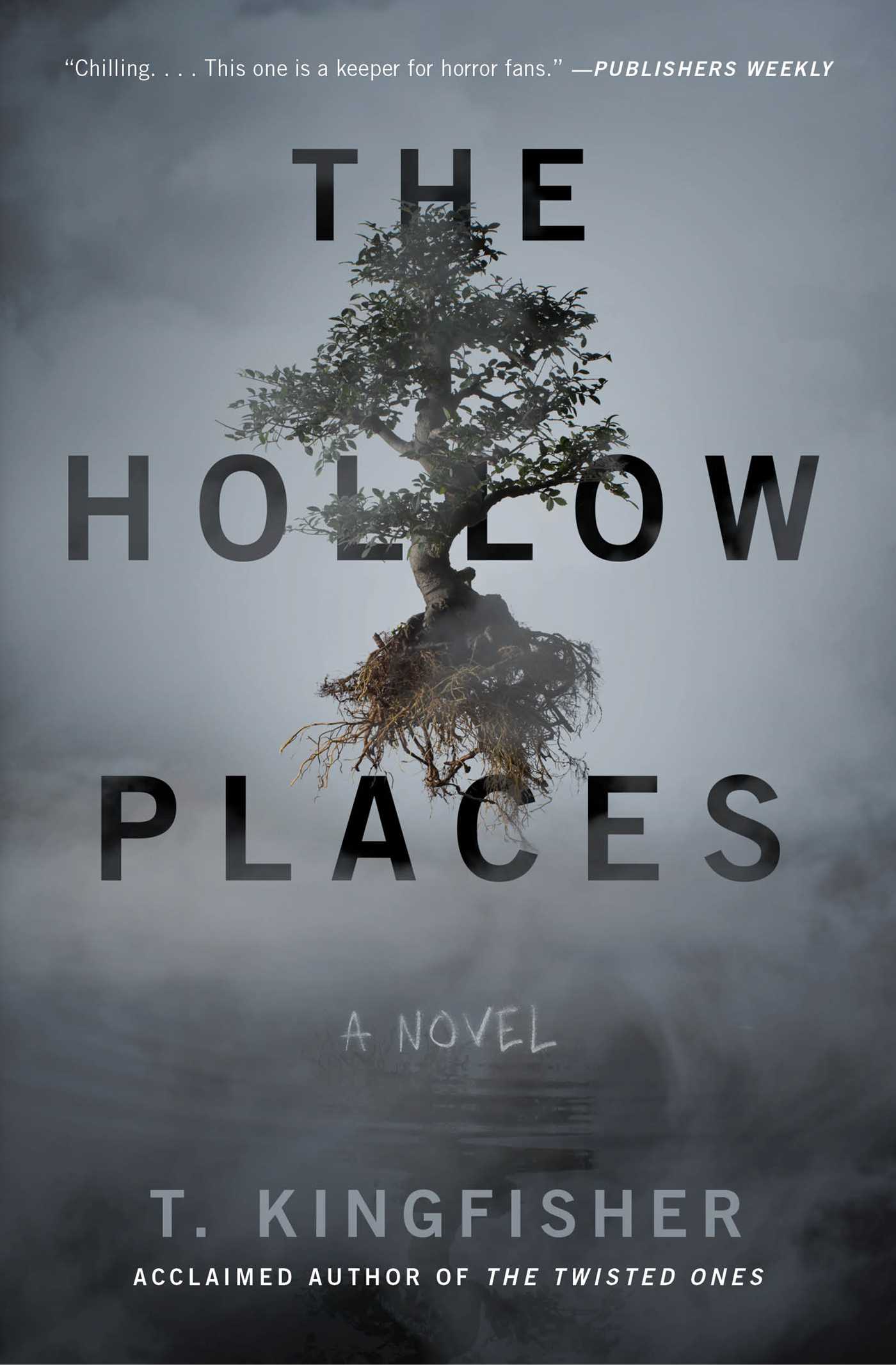 The Hollow Places review